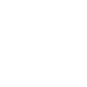 Clever Rover Logo
